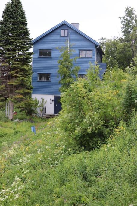 Cozy Family House Tromsø Exterior foto